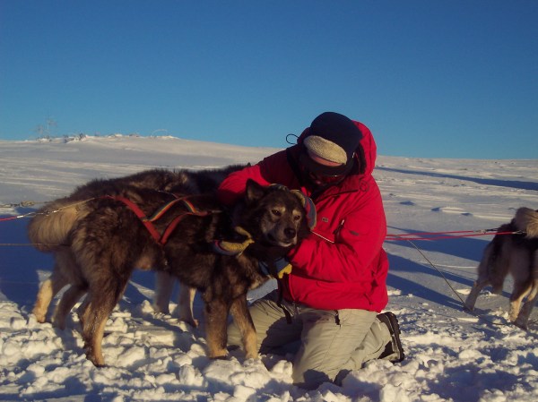 med_Schweden08.JPG (600 x 449)